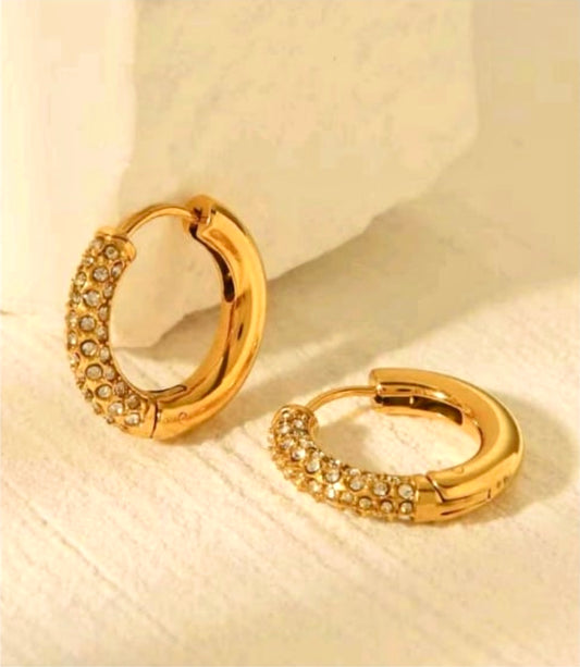 Earrings Anti Tarnish